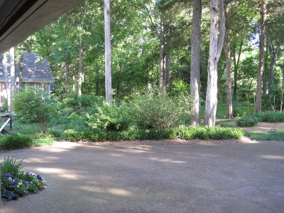 back
                          yard,