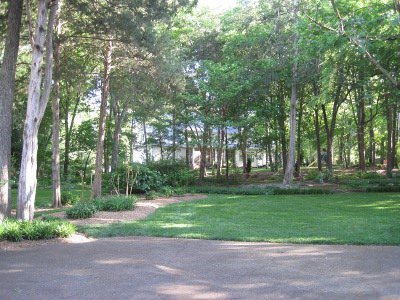 back
                          yard,