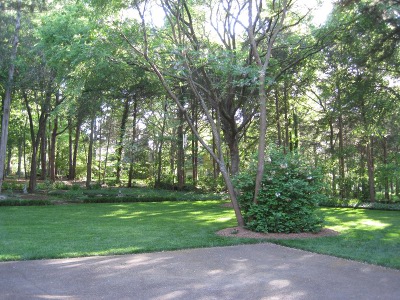 back
                        yard,