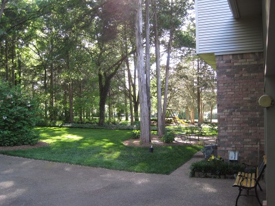back
                          yard,