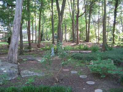 back
                        yard,