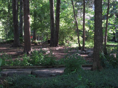 back
                        yard,