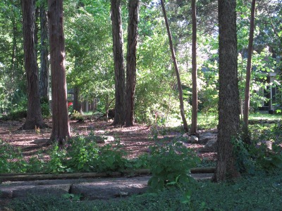 back
                        yard,