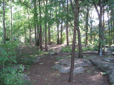back
                        yard,
