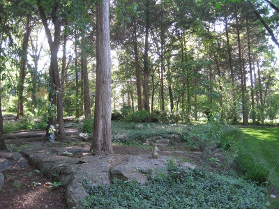 back
                        yard,