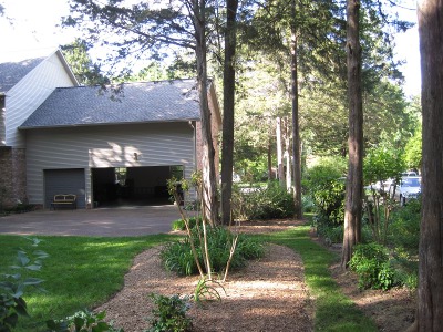 back
                        yard,