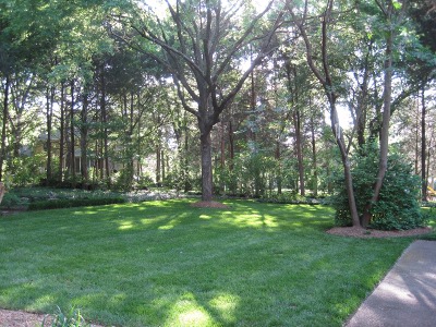 back
                        yard,