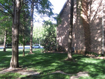 back
                        yard,