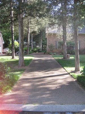front,
                          looking up the driveway