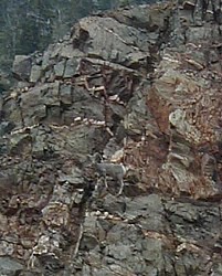 61.3 - 645x800 (37084 bytes)
